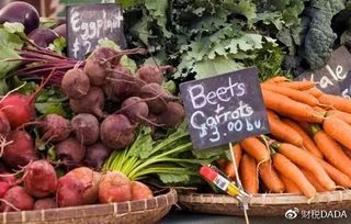 初级农产品增值税的税务处理要点解析