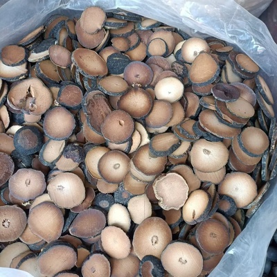 庆腾堂药业 精选无硫天花粉1000g，初级农产品的品质守护