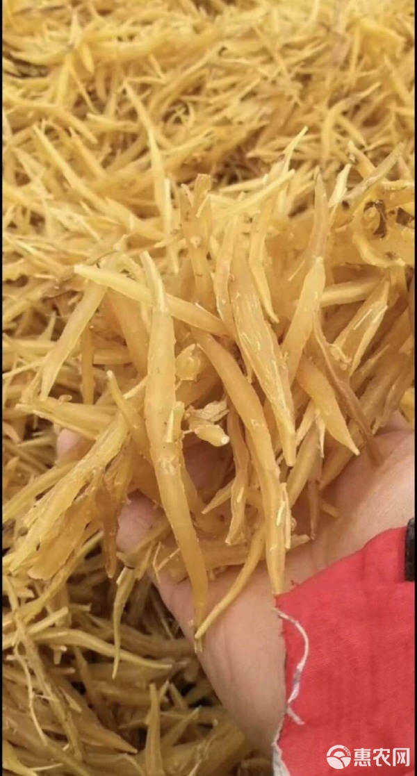 天冬门 中药材与初级农产品的产业价值