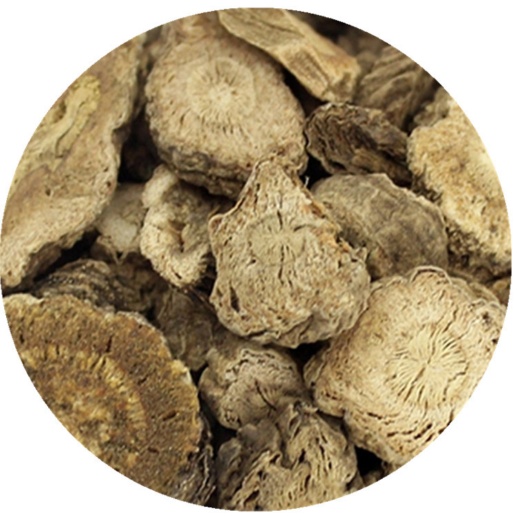 前胡 从毛前胡到信前胡的药材探索